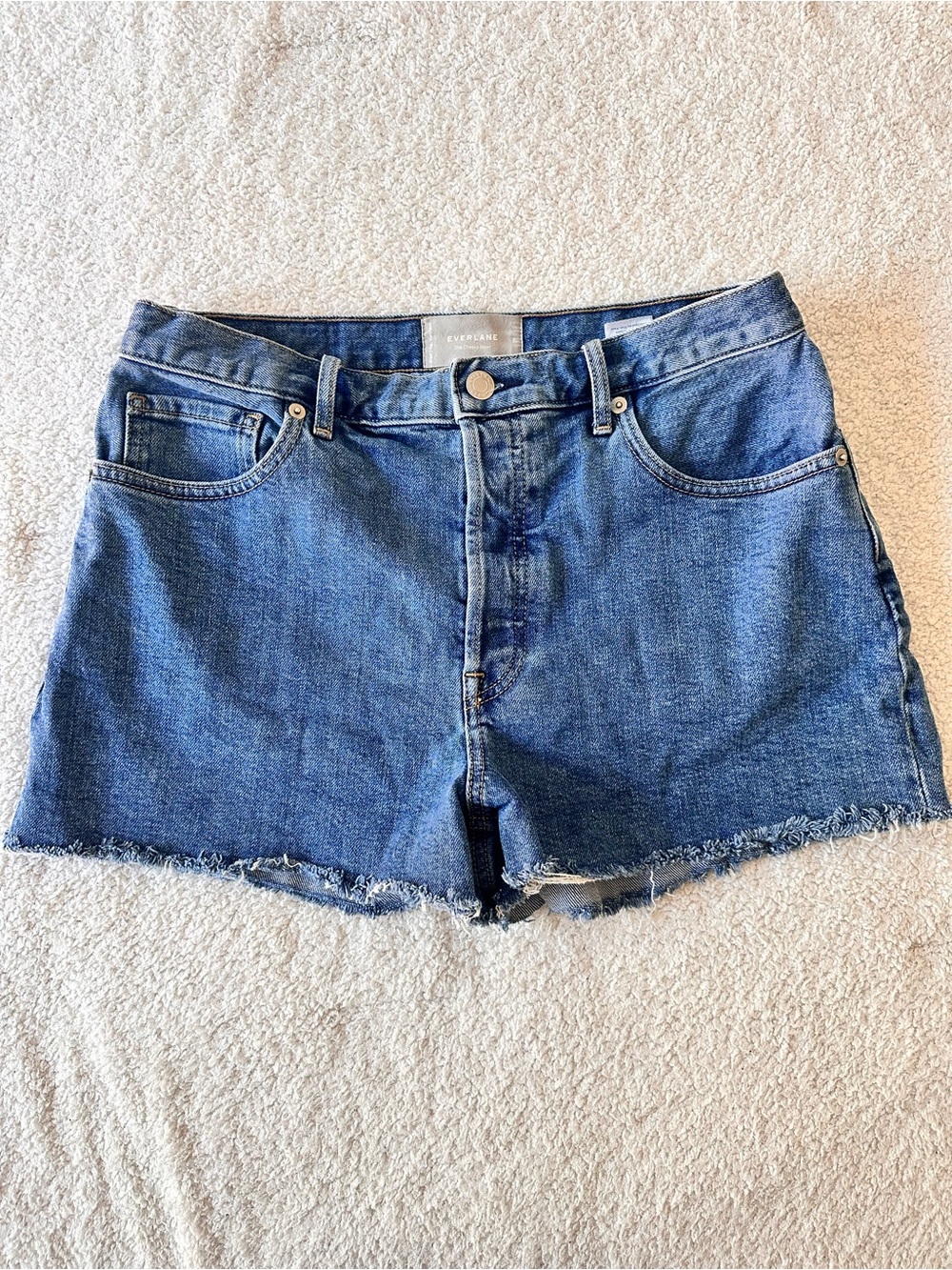 Everlane The Cheeky Short Denim Frayed Hem size 29